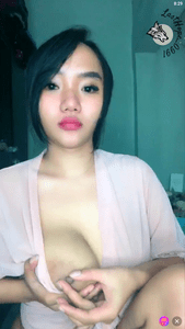 Cantik Toge Sunflower MangoLive